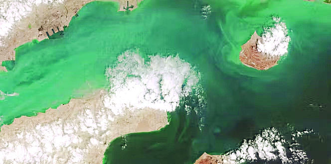 ईरान ने ट्रंप पर आरोप लगाते हुए फिर से होर्मुज को बंद किया, कहा- सीजफायर डील तोड़ी गई